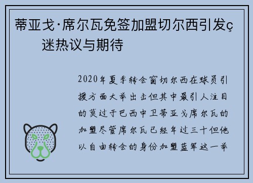 蒂亚戈·席尔瓦免签加盟切尔西引发球迷热议与期待